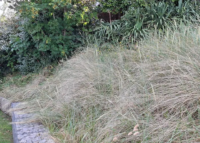 Art De L'o D'hotes Нёфшатель-Ардло