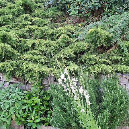 Art De L'o D'hotes 4*