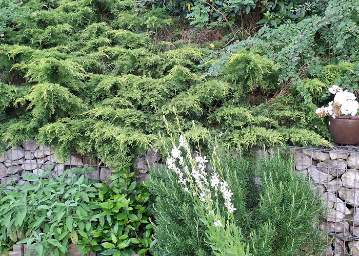 Art De L'o D'hotes 4*