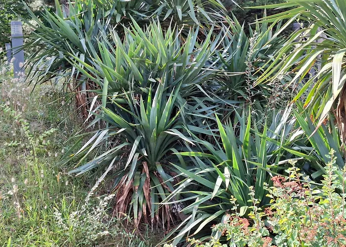 Art De L'o D'hotes Guest house